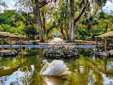 botanical gardens malta